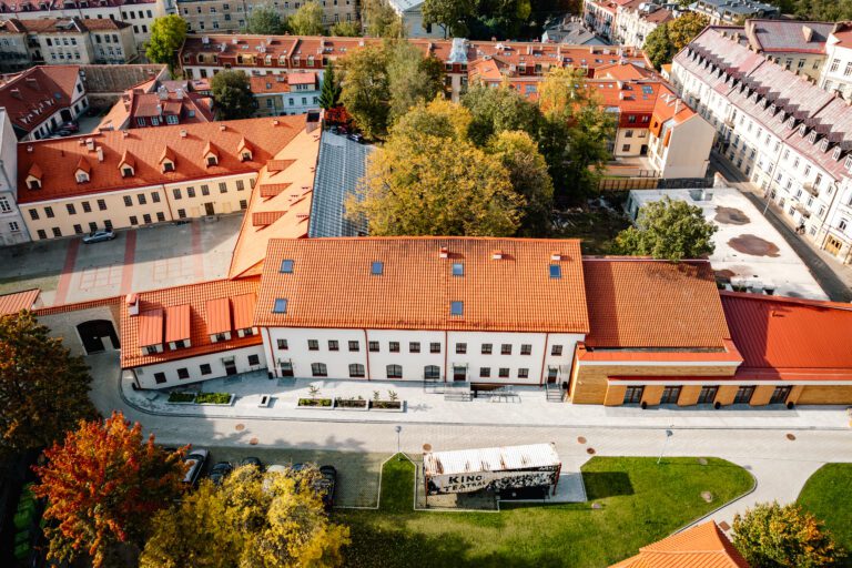 Lietuvos teatro, muzikos ir kino muziejaus rekonstrukcija ir statyba